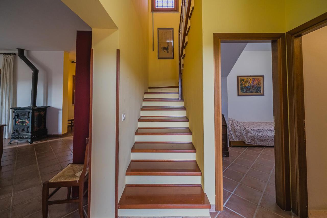 Villa Doddy Nei Pressi Di Barbarossa 阿祖罗港 外观 照片